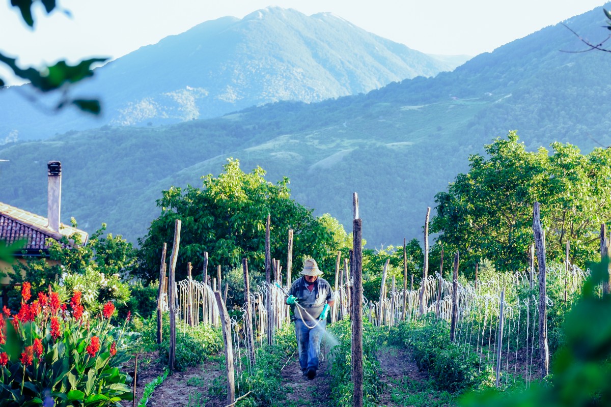 Agricultura orgánica: ¿es una alternativa sustentable en el tiempo?
