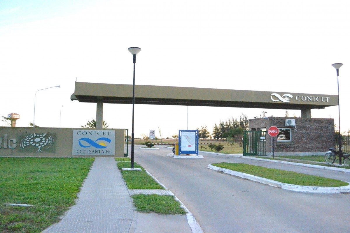 Investigadores del Conicet Santa Fe sientan las bases para el desarrollo de cultivos “climáticamente inteligentes”