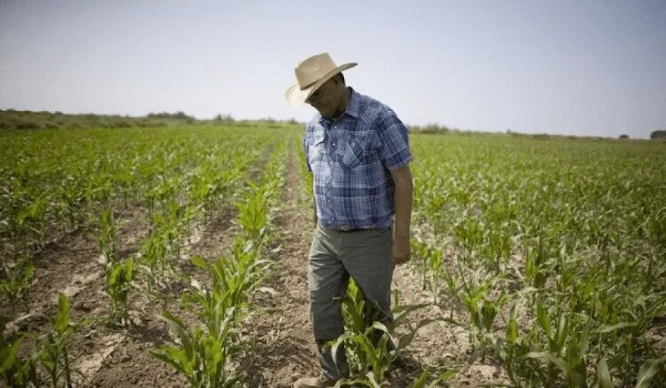 Los productores creen probable que el Gobierno implemente mayores controles en el sector