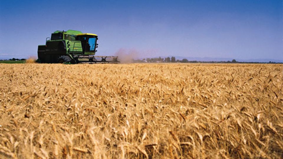 El Estado se queda con el 62% de la renta agrícola a través de impuestos