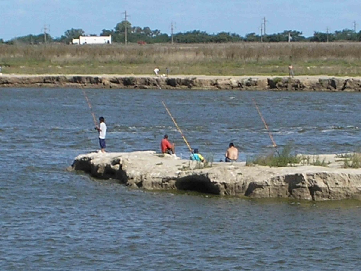 Cambios en la veda pesquera; un nuevo día para la actividad comercial y deportiva