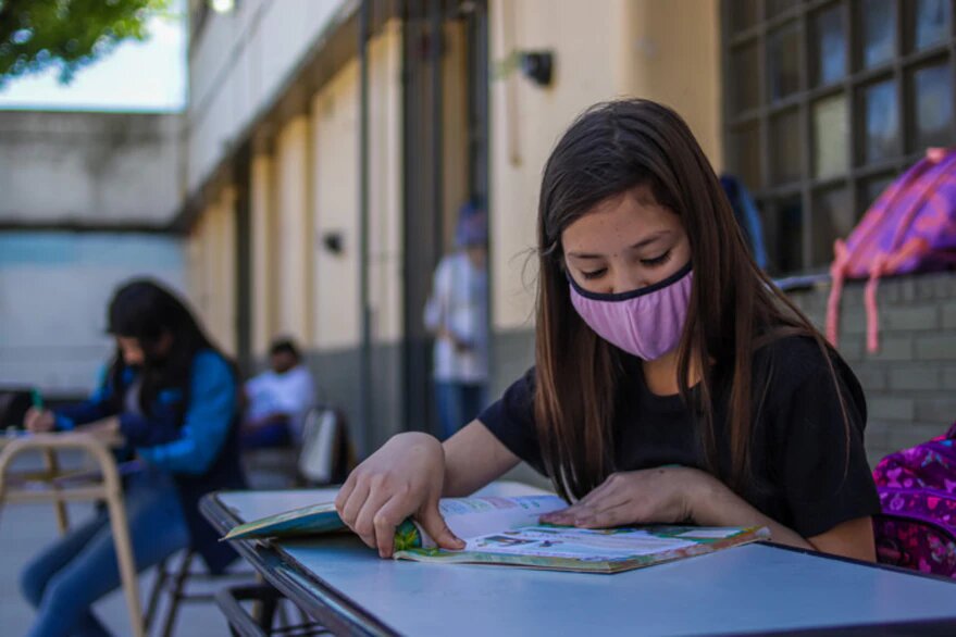 Ley de Educación Ambiental: qué establece la norma sancionada por el Senado