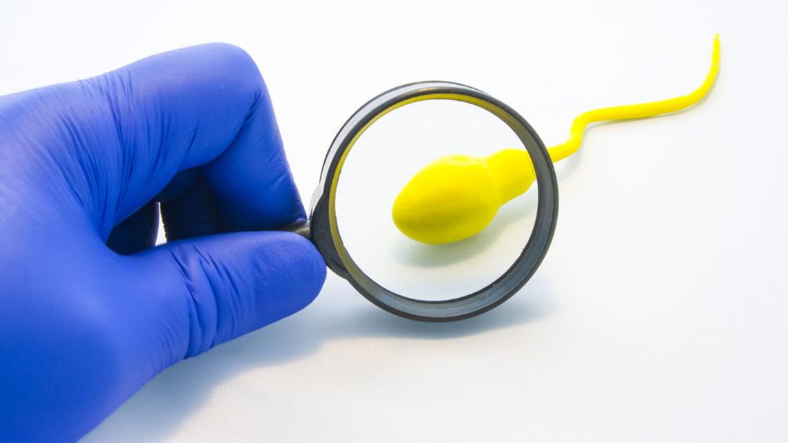 Salud; ¿cómo afecta el COVID-19 a la fertilidad masculina?