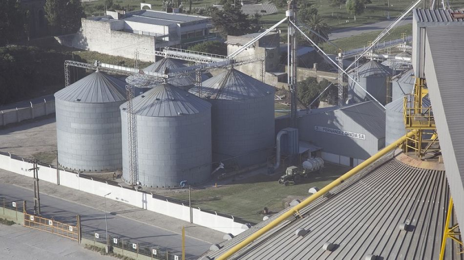 Las exportaciones de aceite y harina de soja serán récord en este primer cuatrimestre