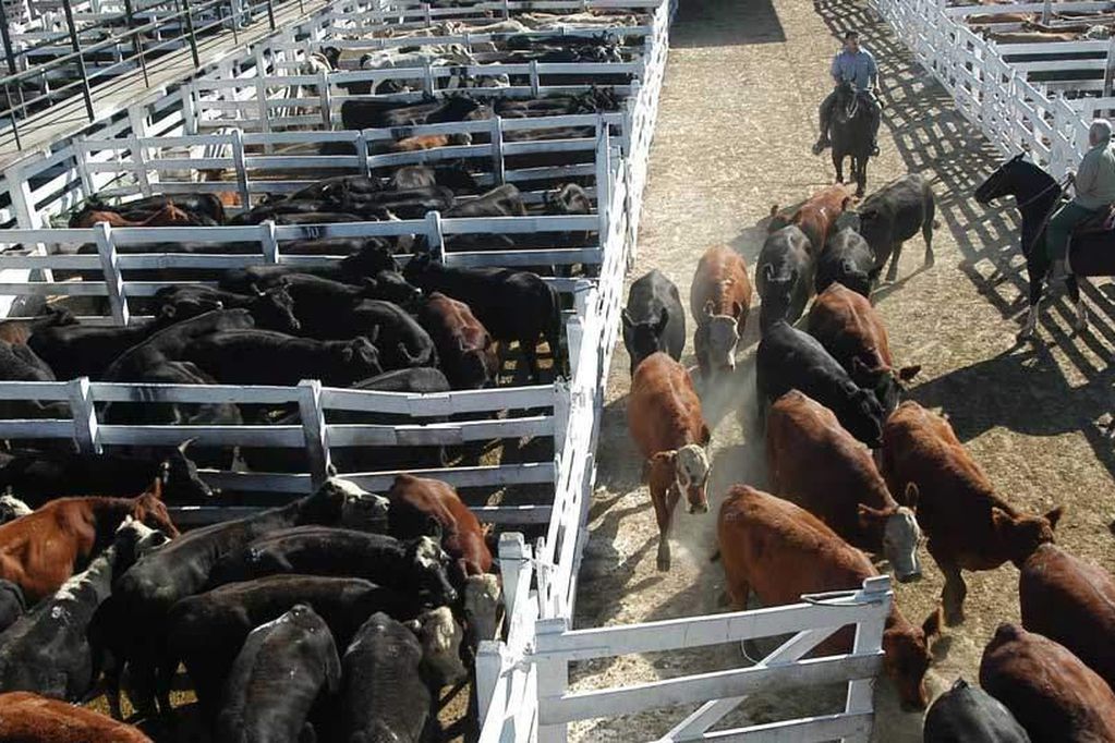 Se levantó el paro del campo, abrió Liniers y aumentó la carne
