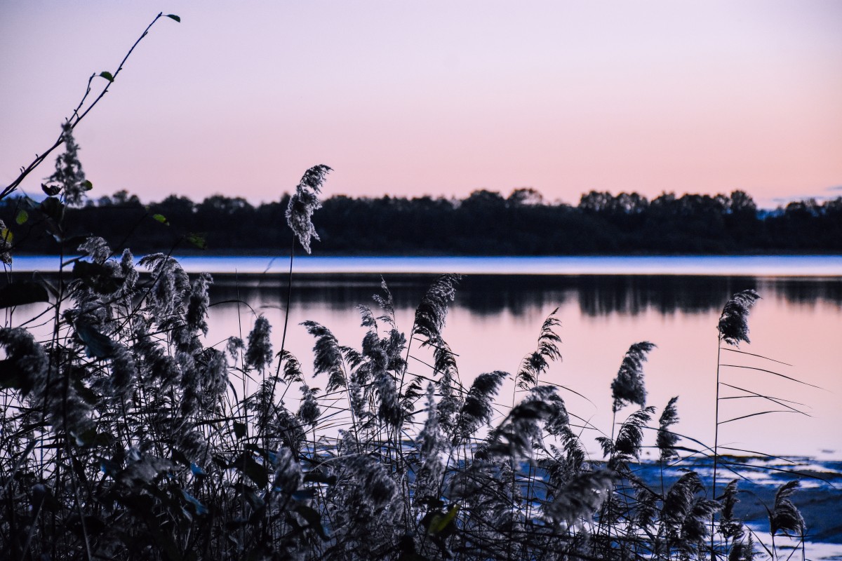 Solsticio de invierno; hoy comienza la época mas fría del año con el renacimiento del sol