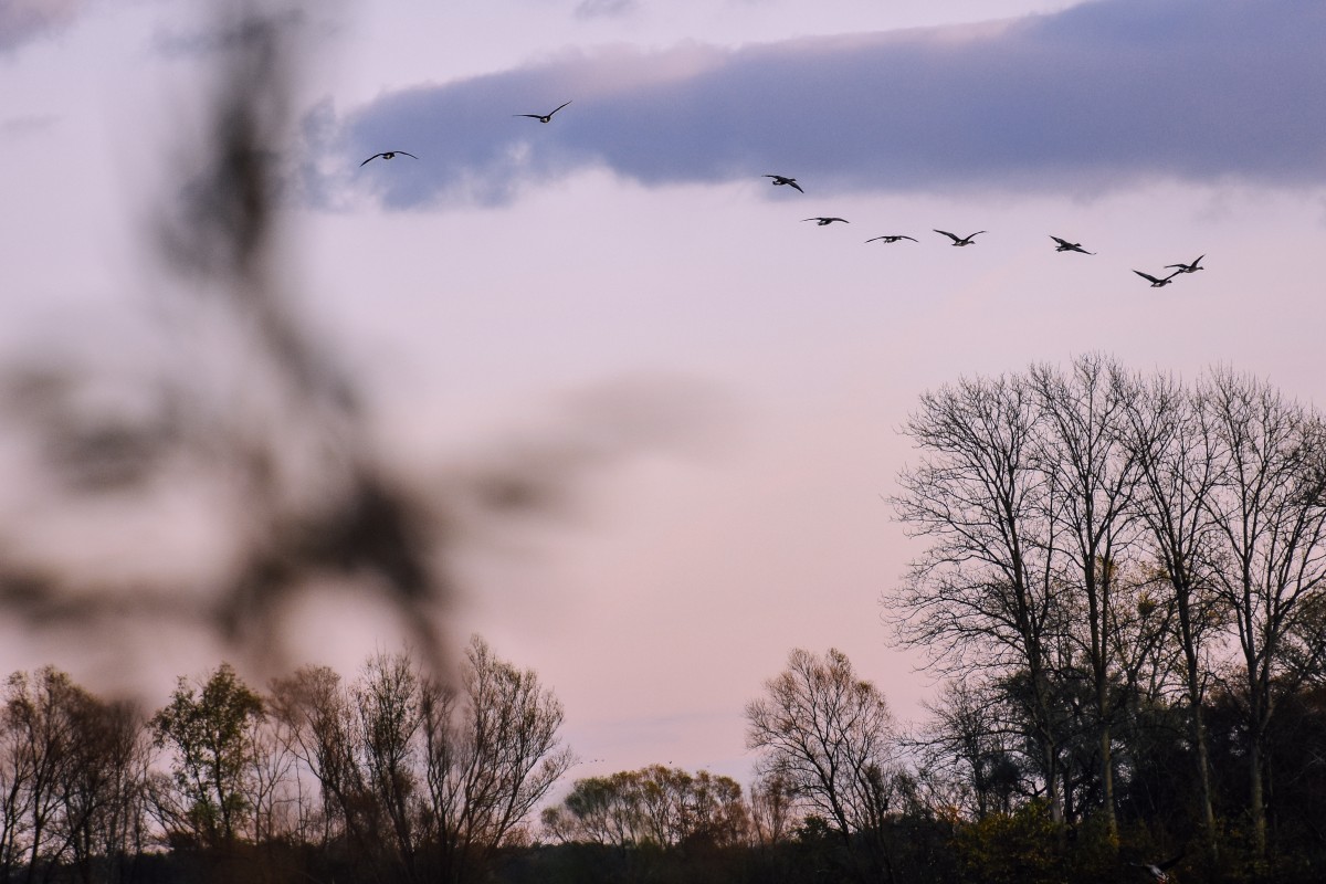 El último fin de semana de junio, llega con viento sur y mucho frío
