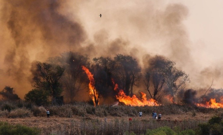 Mientras el río Paraná continua en bajante, patrullan las islas para evitar incendios