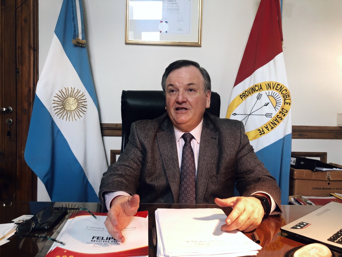 Michling “Santa Fe debe asumir un rol protagónico y federalista en la estatización de la hidrovía Paraguay – Paraná”