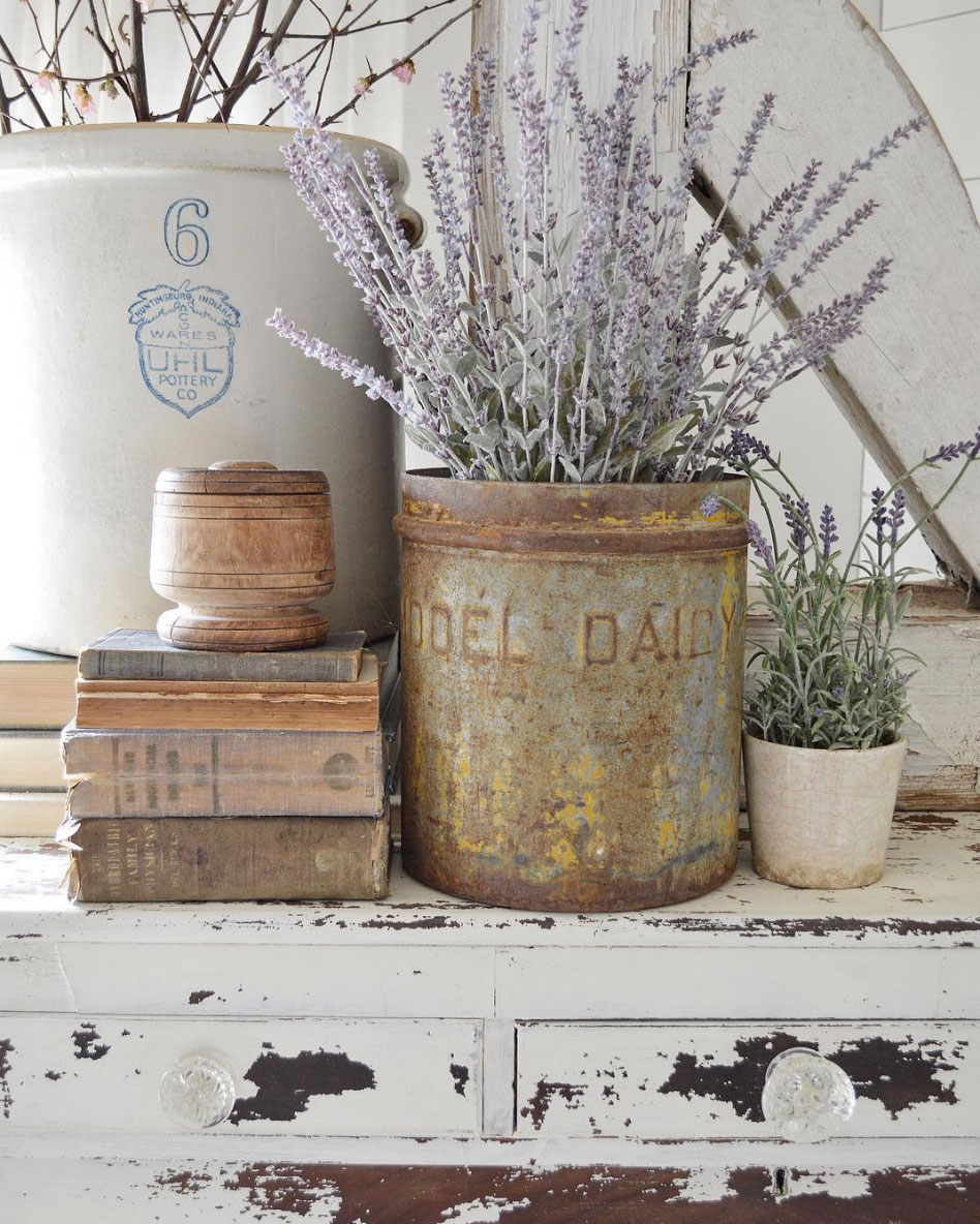 7 Plantas que nos ayudan a dormir