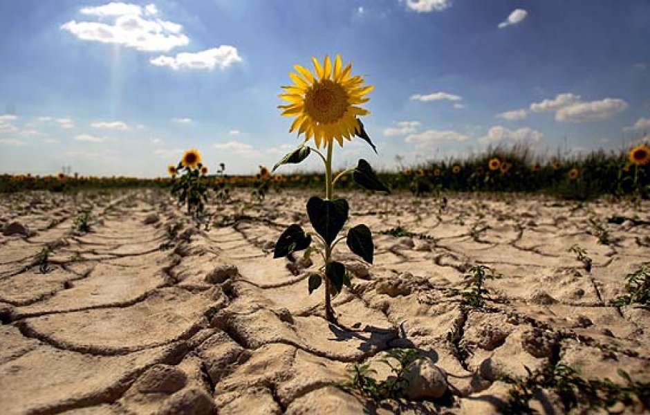 Cambio climático; el agro argentino sufrió las consecuencias de la sequía y el desmonte