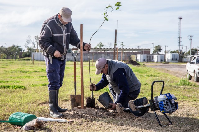 Reforestación; UNL proyecta plantar un árbol por cada graduado y graduada