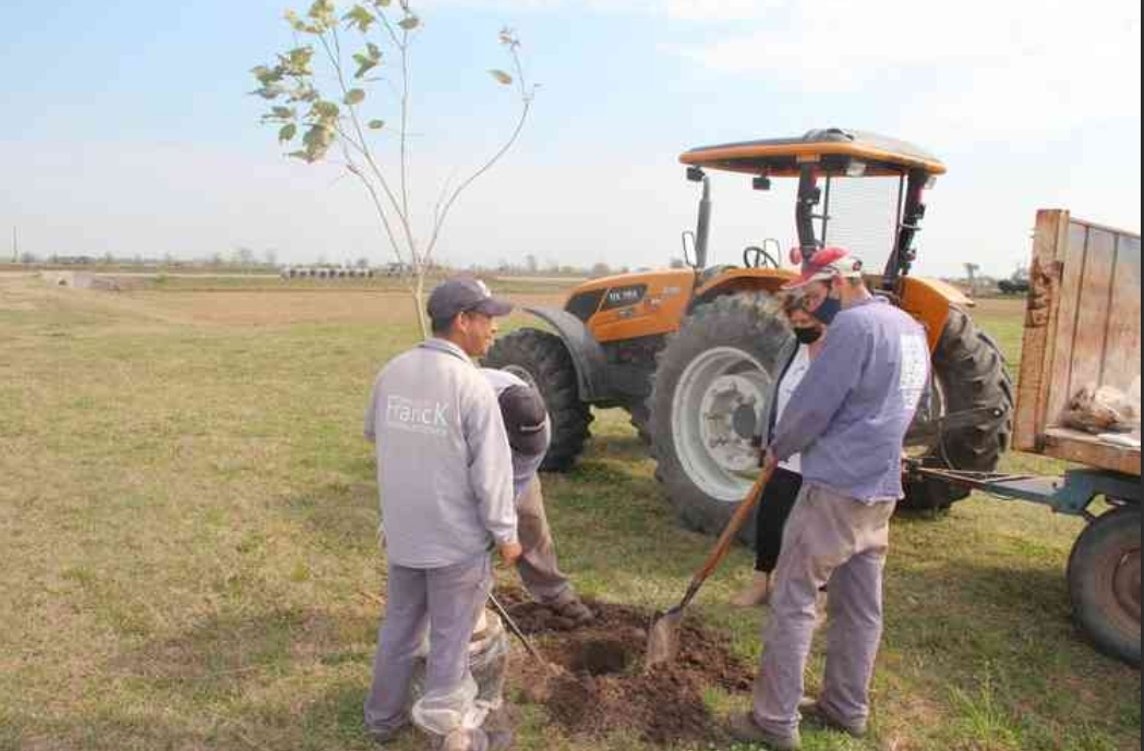 Franck continua La Semana del Árbol, completando el programa de forestación