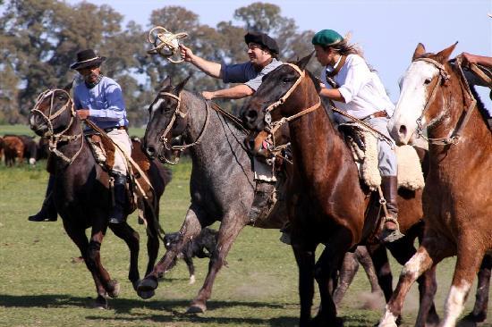 Por qué el juego del pato es el deporte nacional argentino