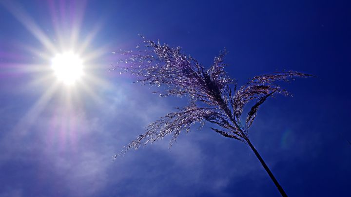 El tiempo en Esperanza: este martes llega a pleno sol y se espera mucho calor hasta el fin de semana