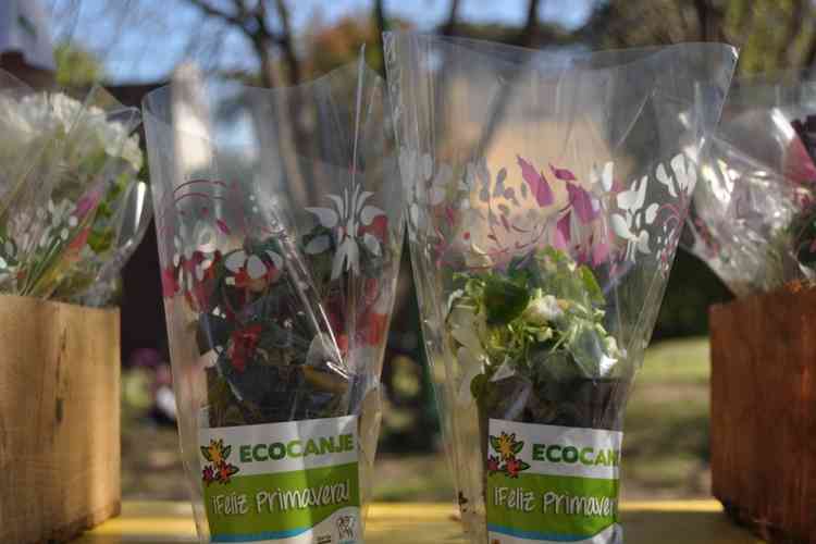 San Mariano tendrá su jornada de concientización ambiental; “La importancia del Ecocanje”