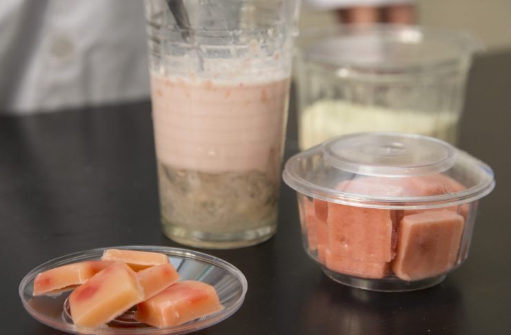 En el marco del programa UNL Potencia, crearon una golosina “funcional y vegana”