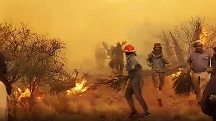 Incendios forestales: cinco provincias continúan con focos activos de fuego