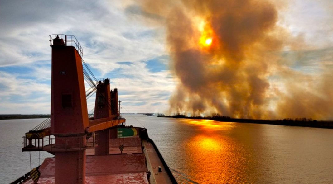 Humedales en peligro; las quemas afectaron fuertemente la biodiversidad del Delta del Paraná