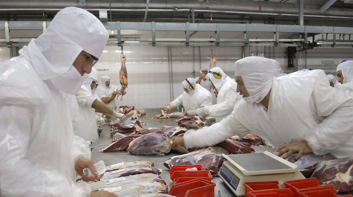 Desde el sector estiman cuantiosas pérdidas por el cepo a la carne vacuna