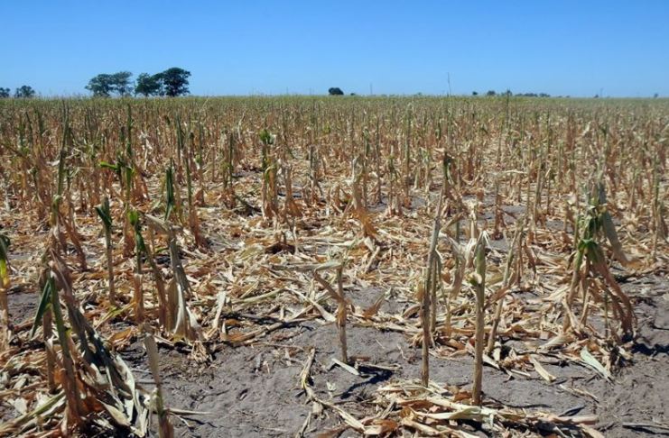 El senador Michlig solicitó asistencia por la sequía para el departamento San Cristóbal