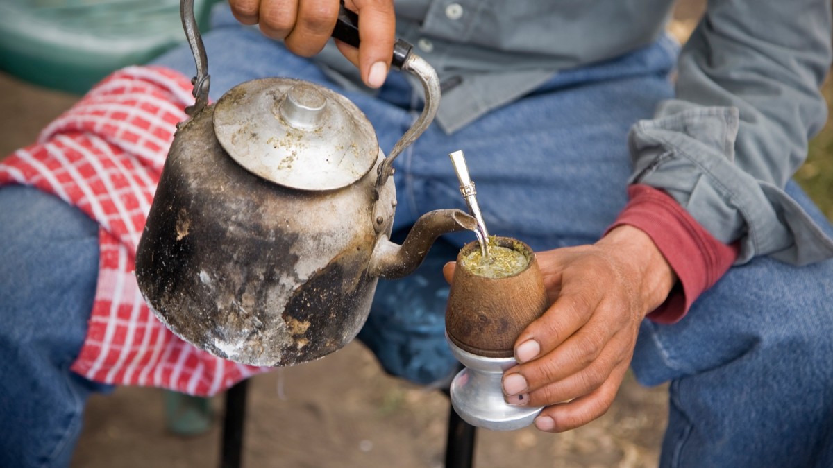 ¿Por qué nuevamente se disparó el precio de la yerba mate? es el producto que más aumentó en los últimos 13 años