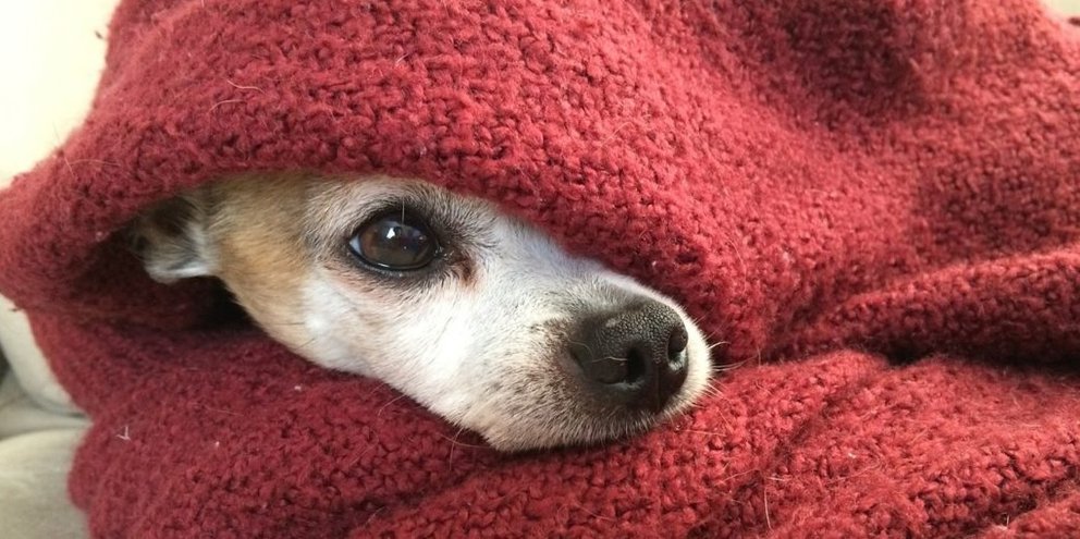 La ola de frío intenso que cubre todo el país durará hasta el fin de semana