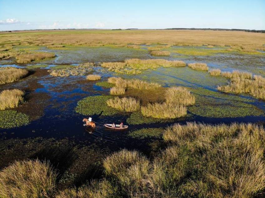 Ley de Humedales: Misiones se convirtió en la primera provincia en aprovar una regulación