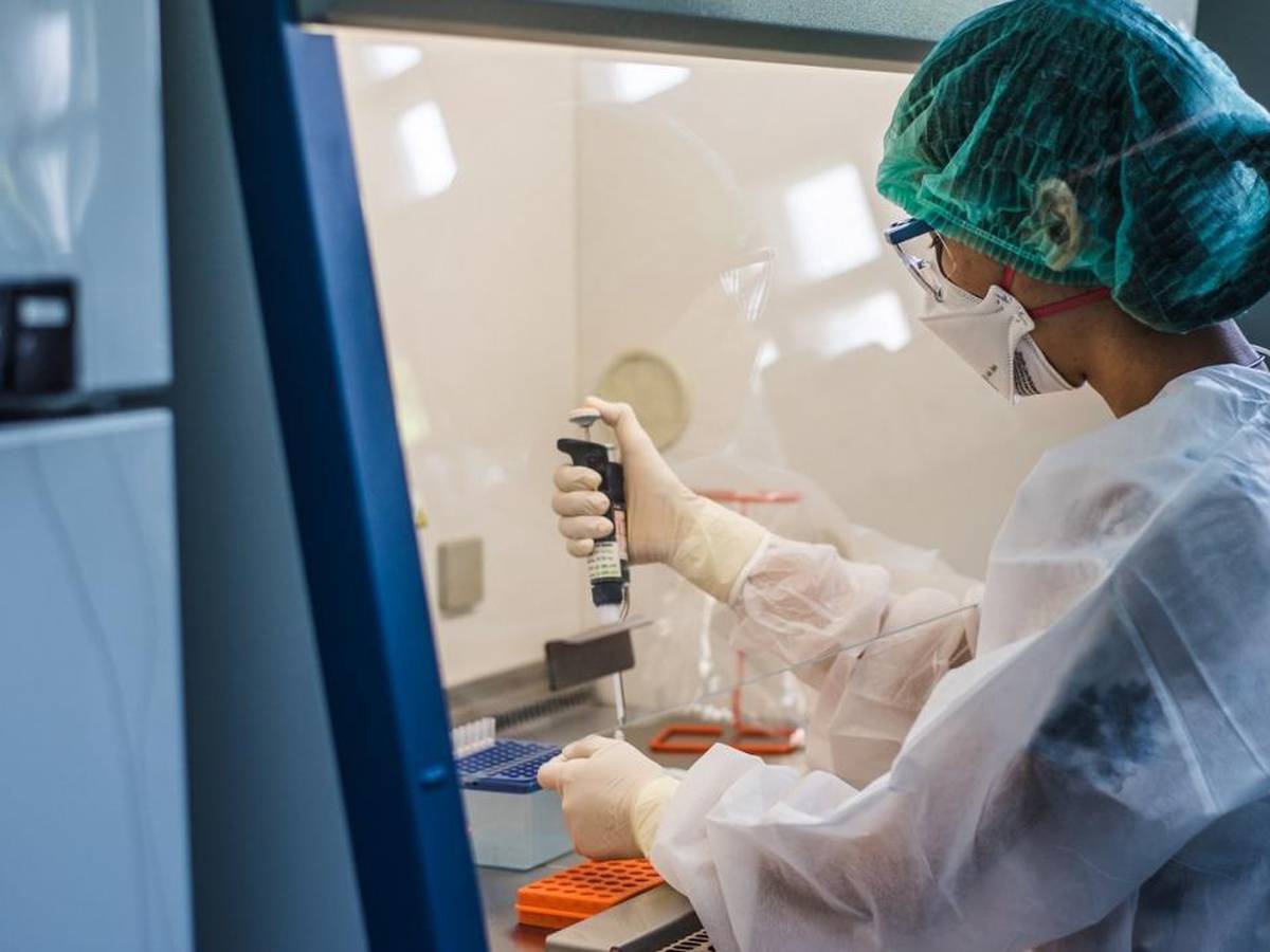 Viruela del mono en Argentina: confirman el primer caso en Santa Fe y ya son 19 en el país