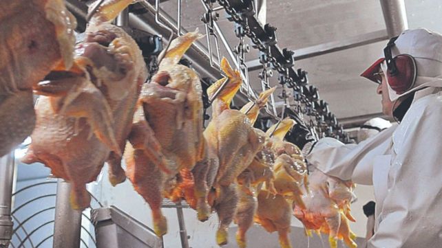 Aseguran que el consumo de carne de pollo de los argentinos casi iguala al de vacuno