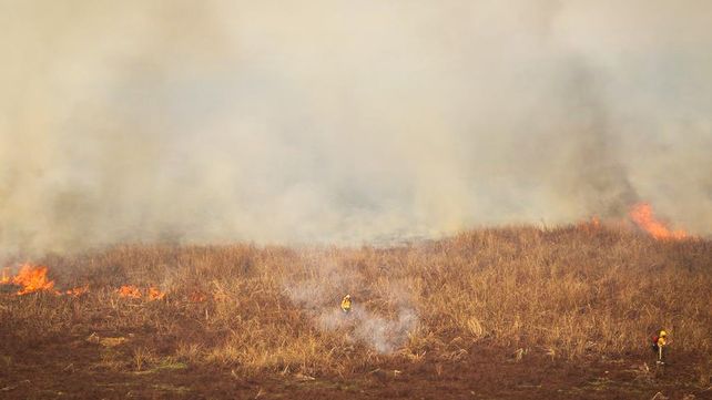 La actividad ganadera usa el fuego para “limpiar” la zona para la renovación de pasturas