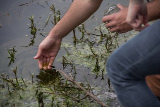Investigadores internacionales llegan a la UNL para estudiar los humedales de la región