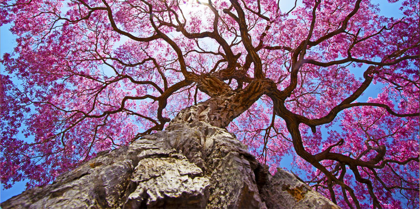 Equinoccio de primavera 2022: días más largos y significados espirituales