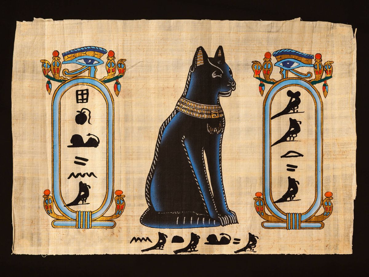 Comportamiento felino: por qué los gatos eran venerados en el Antiguo Egipto