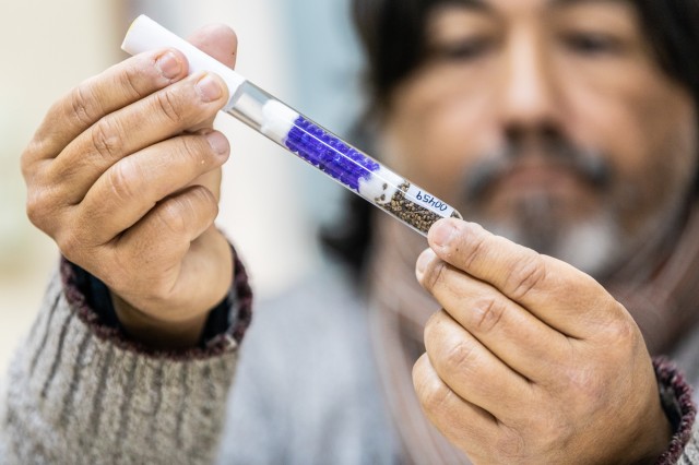 UNL y CONICET, trabajan en el mejoramiento genético de semillas