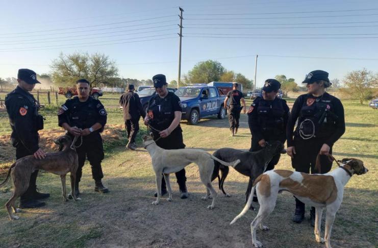 Adopción responsable: treinta familias interesadas en adoptar los galgos rescatados en Santo Tomé