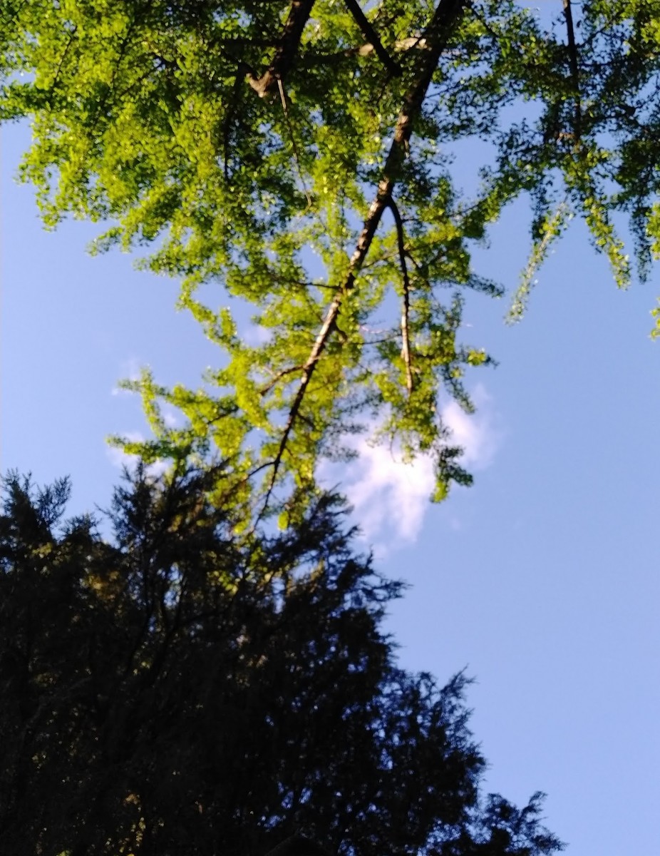 Esperanza: se viene un fin de semana con sol y temperaturas por arriba de los 30°