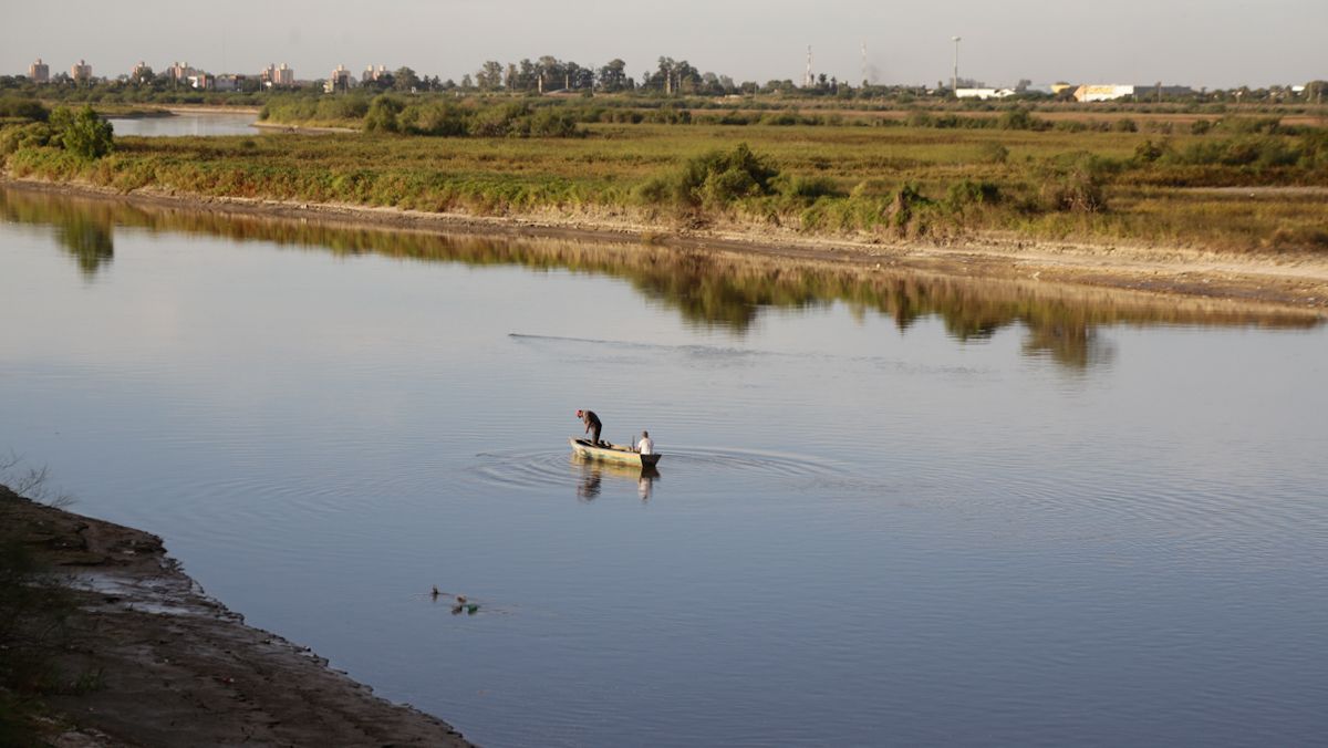 Río Salado: aseguran que la contaminación ya es una amenaza para la supervivencia de la fauna acuática
