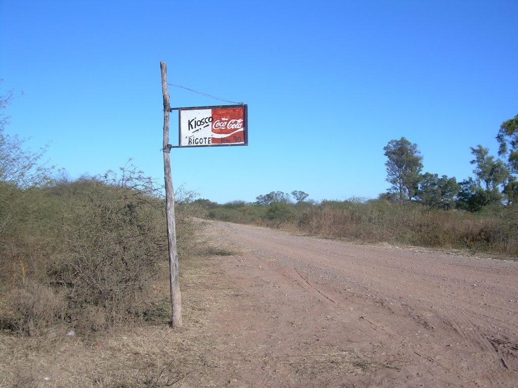 Localidad salteña alcanzó la temperatura más alta del mundo: 46 grados
