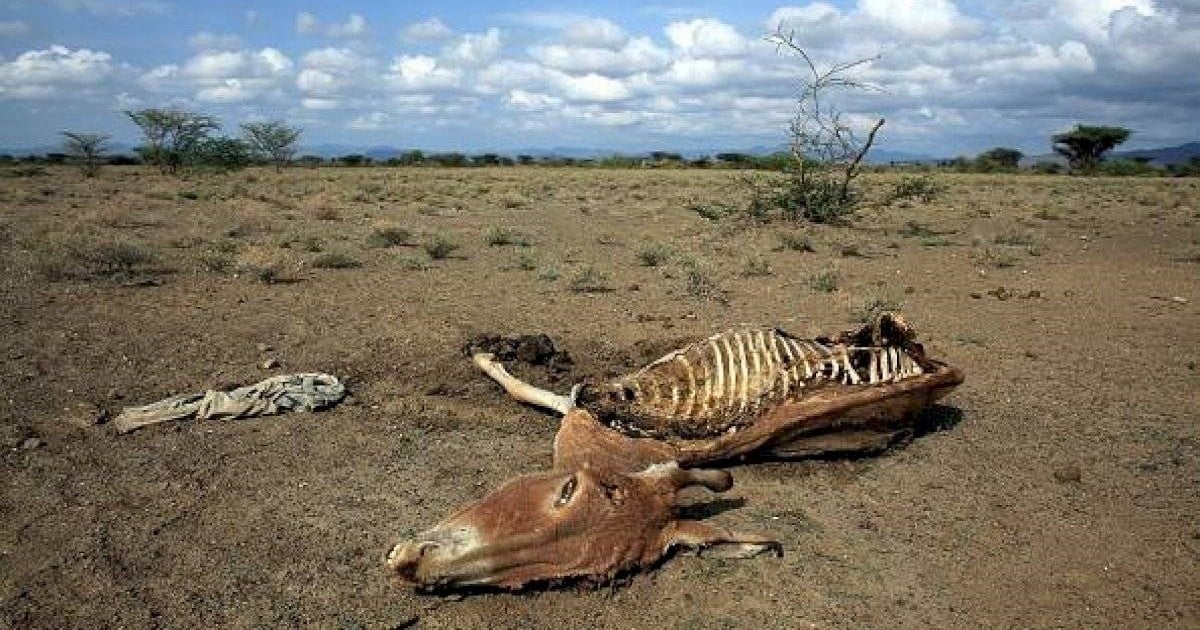 Sequía: aseguran que en el norte de la provincia, “la gente se pelea por el agua”