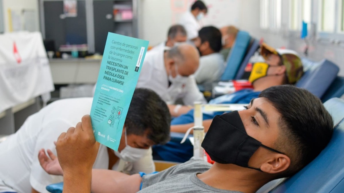 Se alcanzó un récord de donantes argentinos de médula ósea