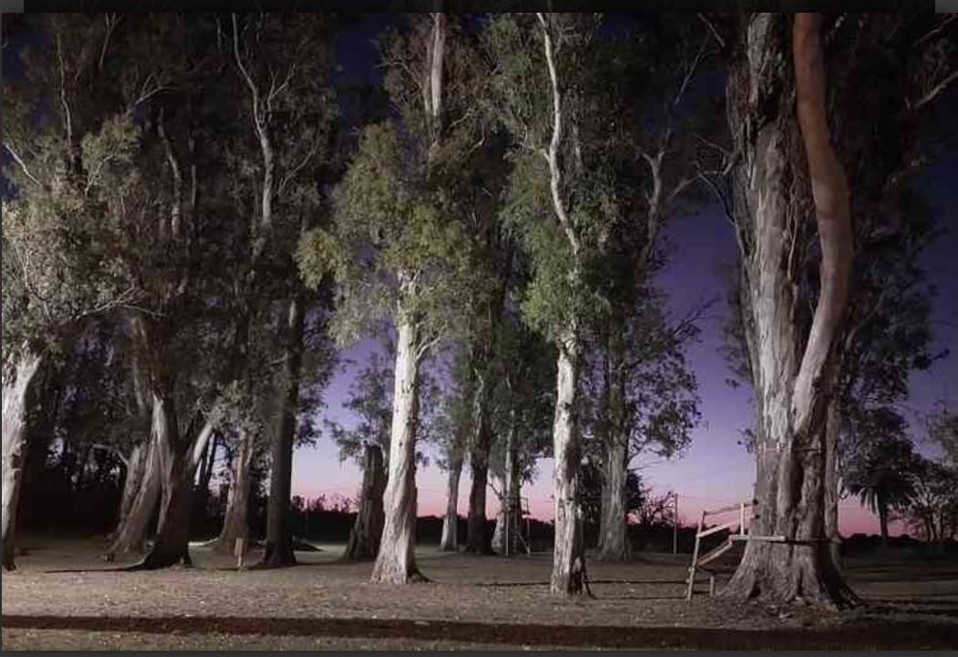 Humboldt: concurso de fotografía “Postales de mi Pueblo”