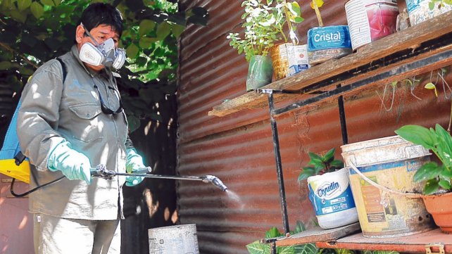 Detectan en la provincia nueve casos de dengue autóctono