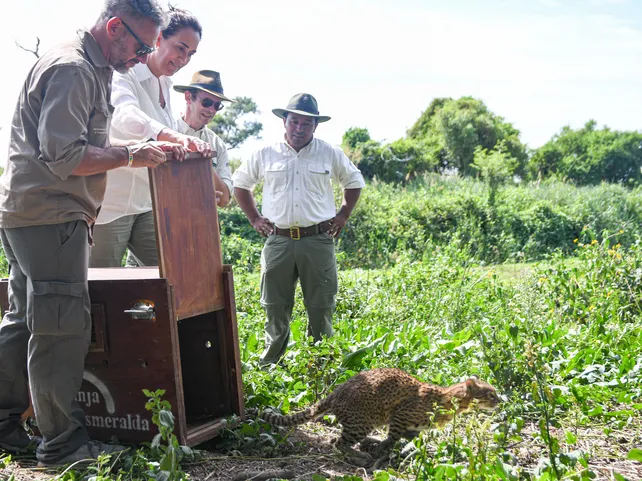La Granja La Esmeralda devolvió un gato montés, dos zorros y tres carpinchos al Parque Nacional Islas de Santa Fe