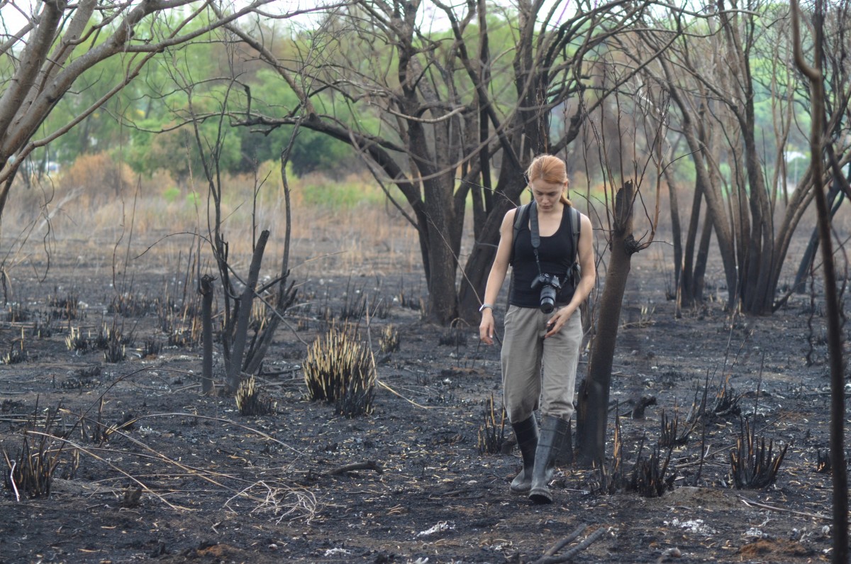 Fuego en Paraná medio: un estudio de la UNL devela la degradación de ecosistemas