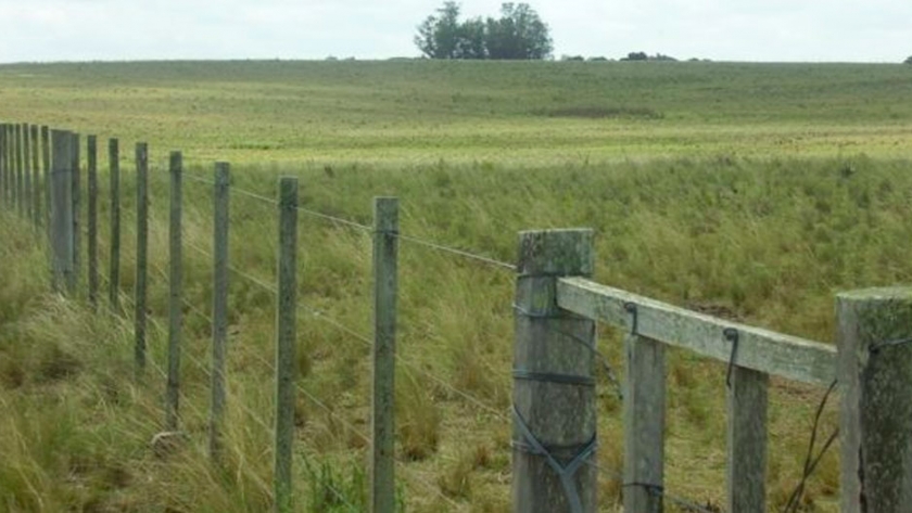 El 76% de los productores piensan que no es un buen momento para realizar inversiones.