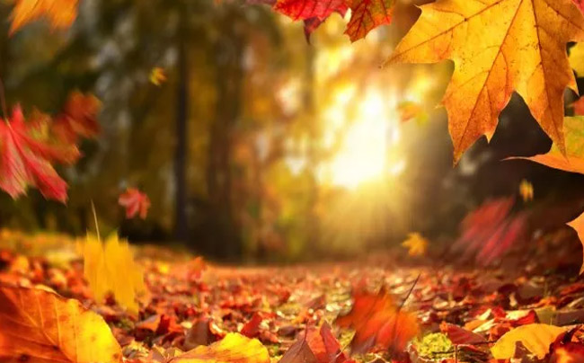 ¿A qué se debe ese calor otoñal inusual? el “veranito” durará casi toda la semana que viene