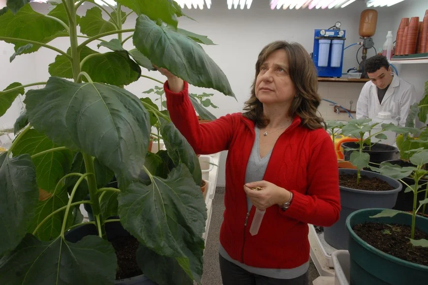 Raquel Chan: la santafesina que ganó un importante reconocimiento por su investigación sobre la agro-biotecnología