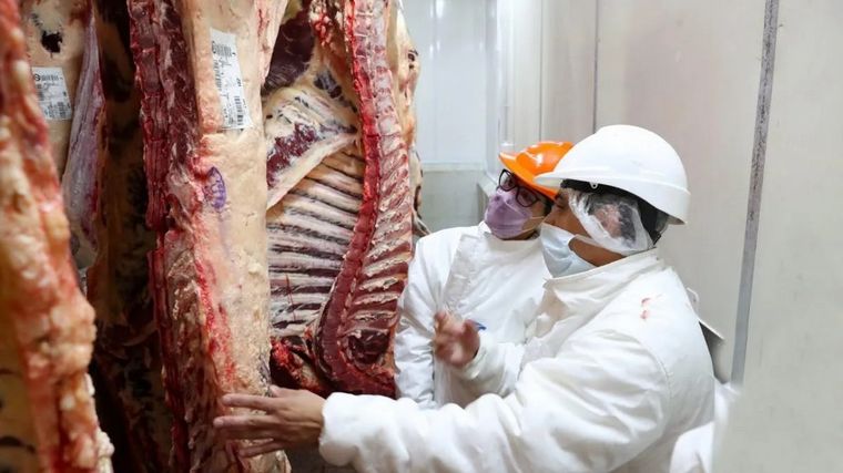 El Gobierno cerró por 15 días las exportaciones de carne vacuna