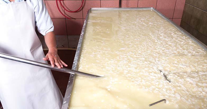 Nutrición: científicos de la UNL desarrollan alimentos funcionales derivados del lactosuero